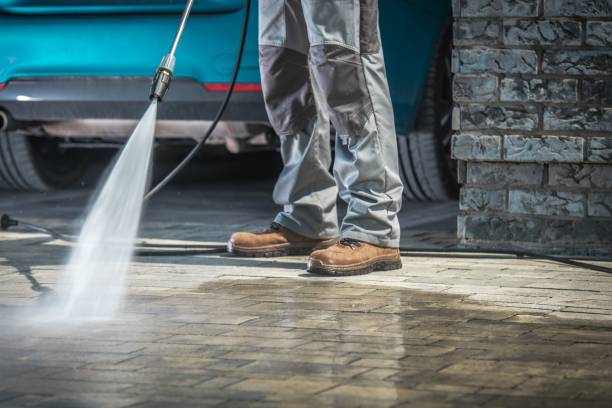 Best Animal Enclosure Cleaning  in , MI