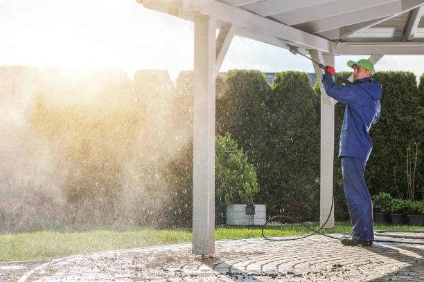 Best Post-Construction Pressure Washing  in , MI