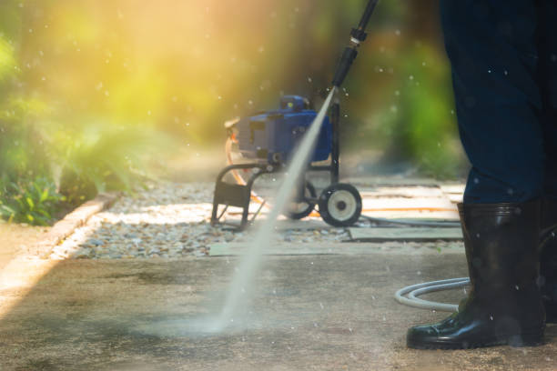 Best Fence Cleaning  in , MI